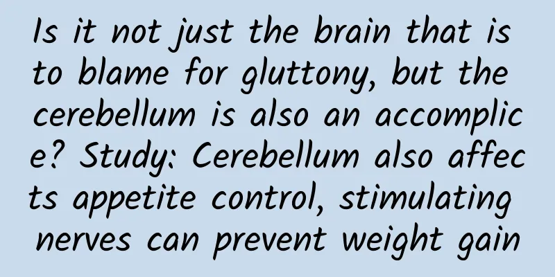 Is it not just the brain that is to blame for gluttony, but the cerebellum is also an accomplice? Study: Cerebellum also affects appetite control, stimulating nerves can prevent weight gain