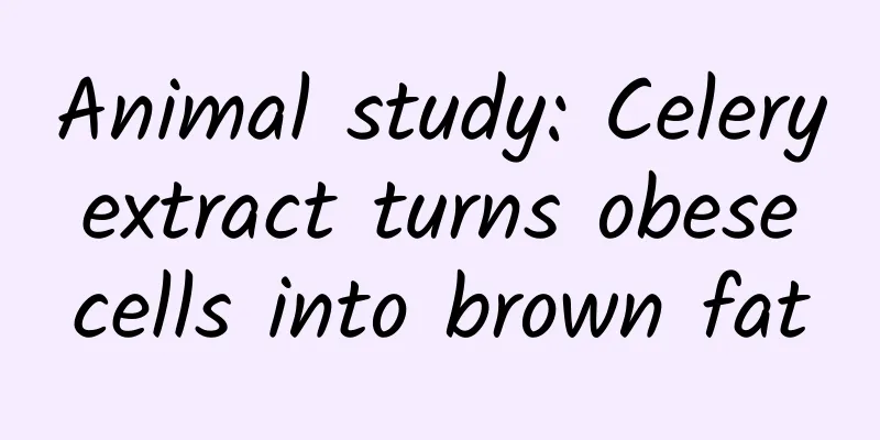 Animal study: Celery extract turns obese cells into brown fat