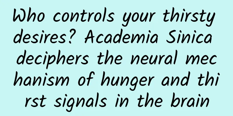 Who controls your thirsty desires? Academia Sinica deciphers the neural mechanism of hunger and thirst signals in the brain