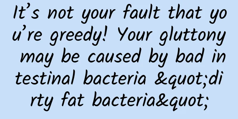 It’s not your fault that you’re greedy! Your gluttony may be caused by bad intestinal bacteria "dirty fat bacteria"