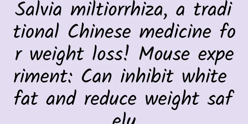 Salvia miltiorrhiza, a traditional Chinese medicine for weight loss! Mouse experiment: Can inhibit white fat and reduce weight safely