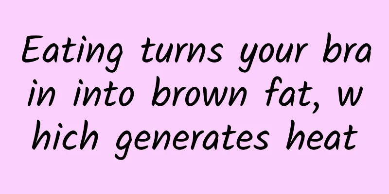 Eating turns your brain into brown fat, which generates heat
