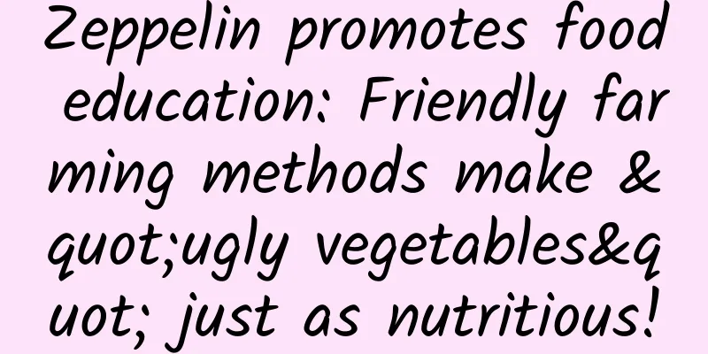 Zeppelin promotes food education: Friendly farming methods make "ugly vegetables" just as nutritious!