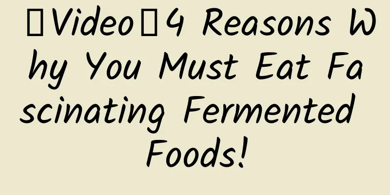 【Video】4 Reasons Why You Must Eat Fascinating Fermented Foods!
