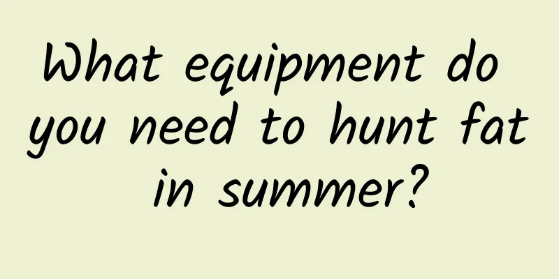 What equipment do you need to hunt fat in summer?
