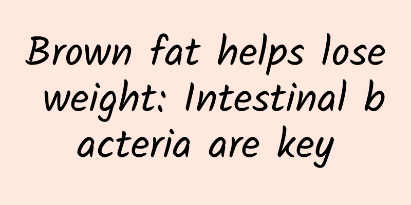 Brown fat helps lose weight: Intestinal bacteria are key