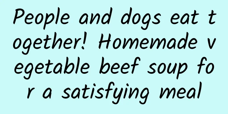 People and dogs eat together! Homemade vegetable beef soup for a satisfying meal