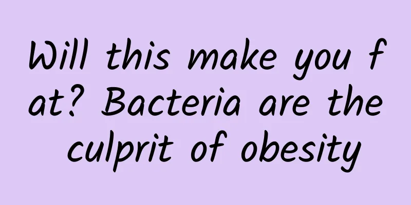 Will this make you fat? Bacteria are the culprit of obesity