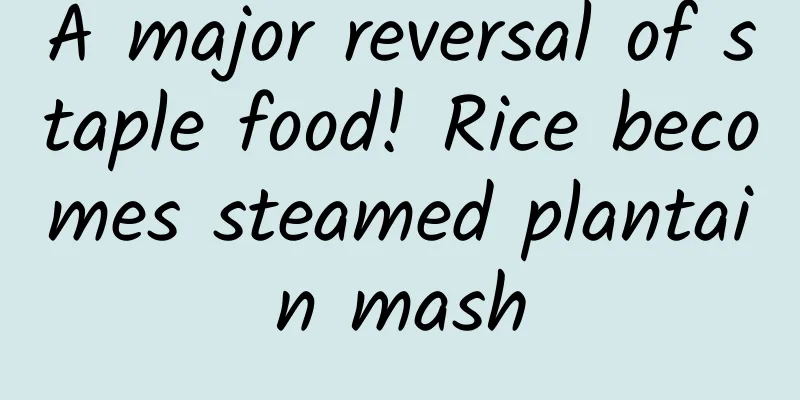A major reversal of staple food! Rice becomes steamed plantain mash
