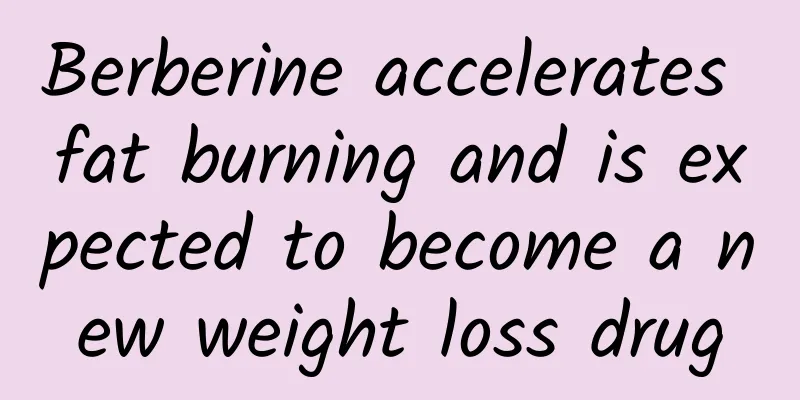 Berberine accelerates fat burning and is expected to become a new weight loss drug