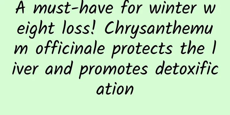 A must-have for winter weight loss! Chrysanthemum officinale protects the liver and promotes detoxification