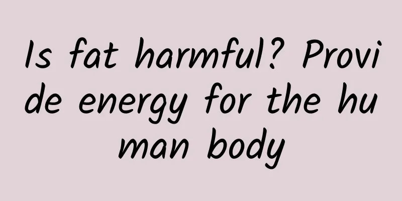 Is fat harmful? Provide energy for the human body