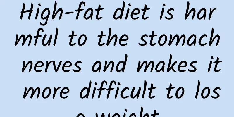 High-fat diet is harmful to the stomach nerves and makes it more difficult to lose weight