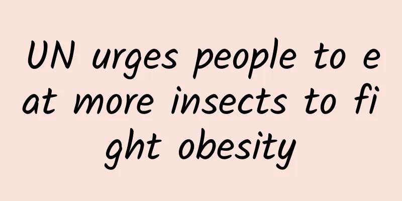 UN urges people to eat more insects to fight obesity