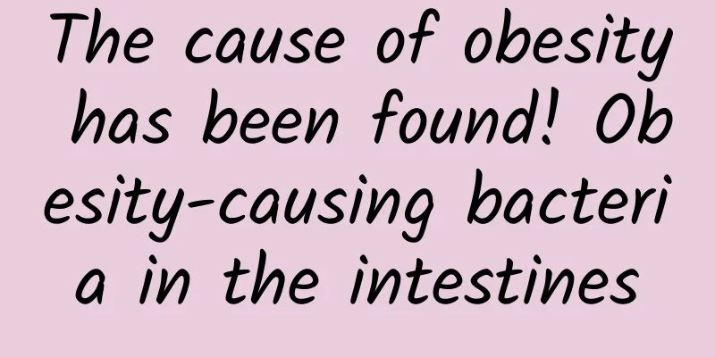 The cause of obesity has been found! Obesity-causing bacteria in the intestines