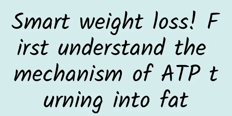 Smart weight loss! First understand the mechanism of ATP turning into fat