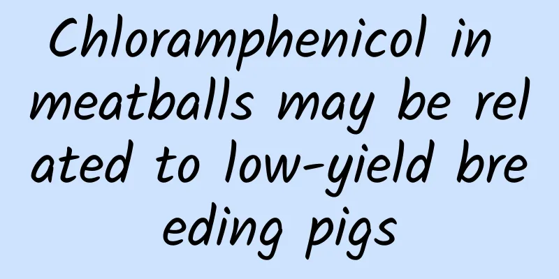Chloramphenicol in meatballs may be related to low-yield breeding pigs