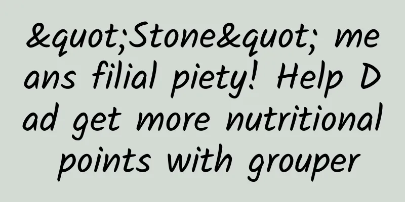 "Stone" means filial piety! Help Dad get more nutritional points with grouper