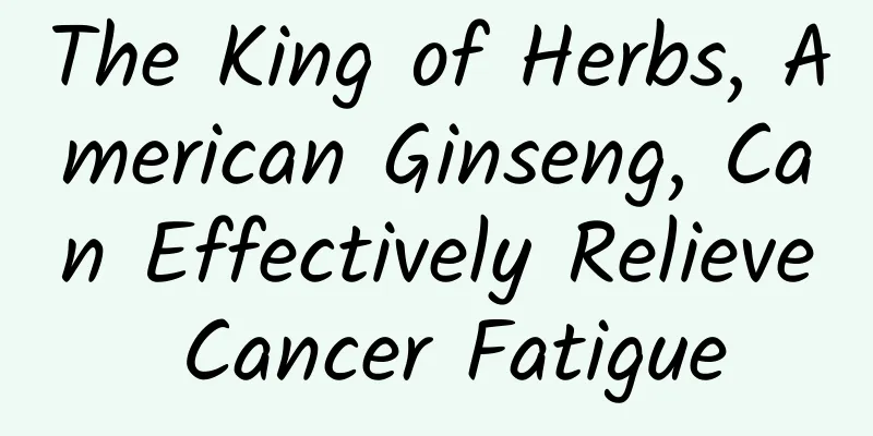 The King of Herbs, American Ginseng, Can Effectively Relieve Cancer Fatigue