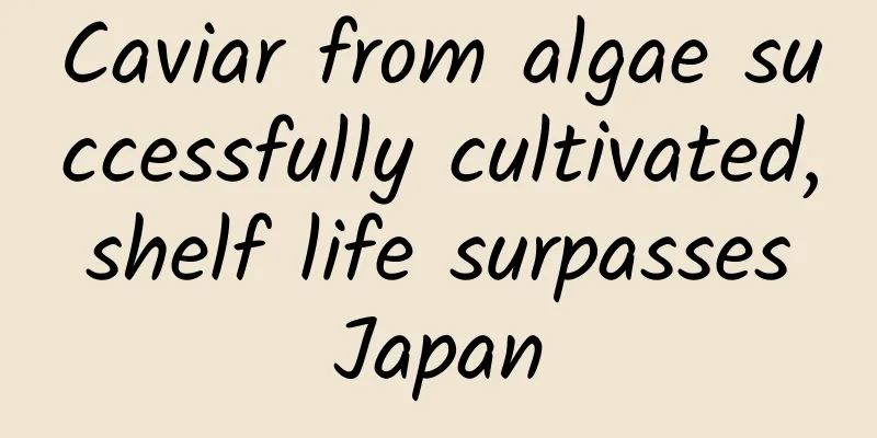 Caviar from algae successfully cultivated, shelf life surpasses Japan
