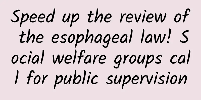 Speed ​​up the review of the esophageal law! Social welfare groups call for public supervision