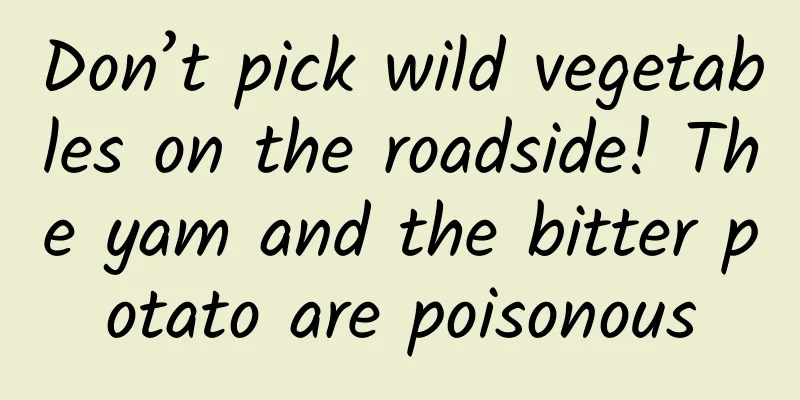 Don’t pick wild vegetables on the roadside! The yam and the bitter potato are poisonous