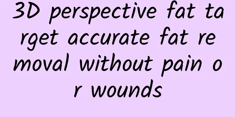 3D perspective fat target accurate fat removal without pain or wounds