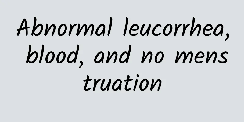 Abnormal leucorrhea, blood, and no menstruation