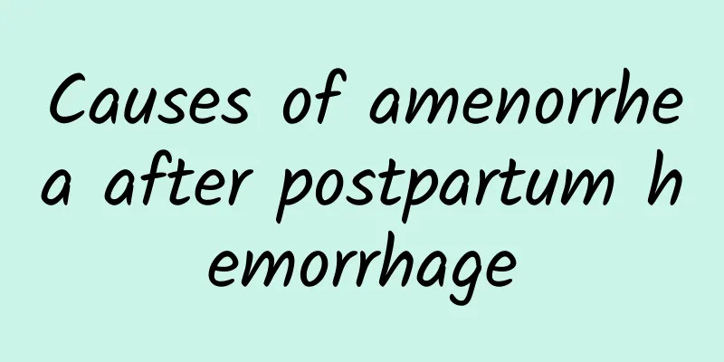 Causes of amenorrhea after postpartum hemorrhage