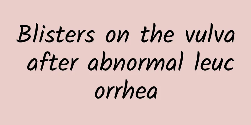Blisters on the vulva after abnormal leucorrhea