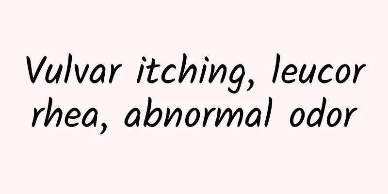 Vulvar itching, leucorrhea, abnormal odor