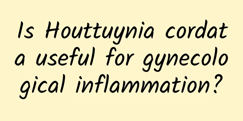 Is Houttuynia cordata useful for gynecological inflammation?