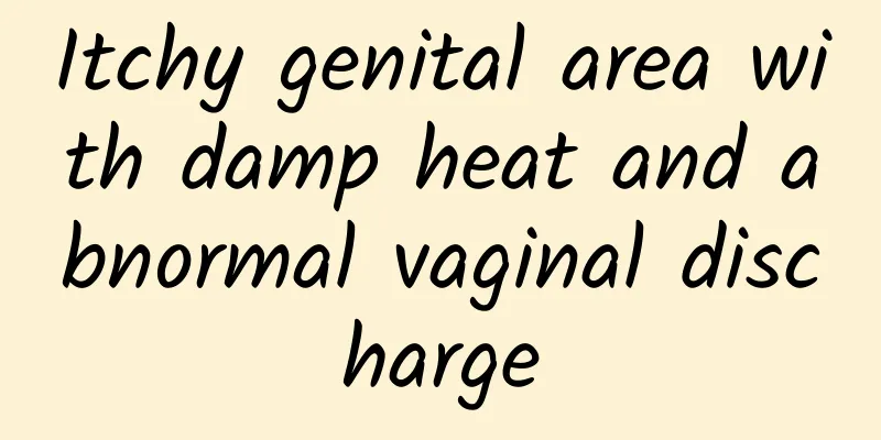 Itchy genital area with damp heat and abnormal vaginal discharge