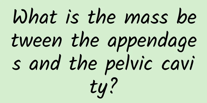 What is the mass between the appendages and the pelvic cavity?