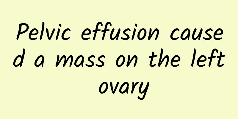 Pelvic effusion caused a mass on the left ovary