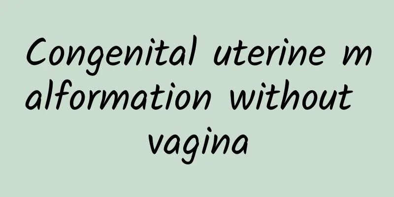 Congenital uterine malformation without vagina