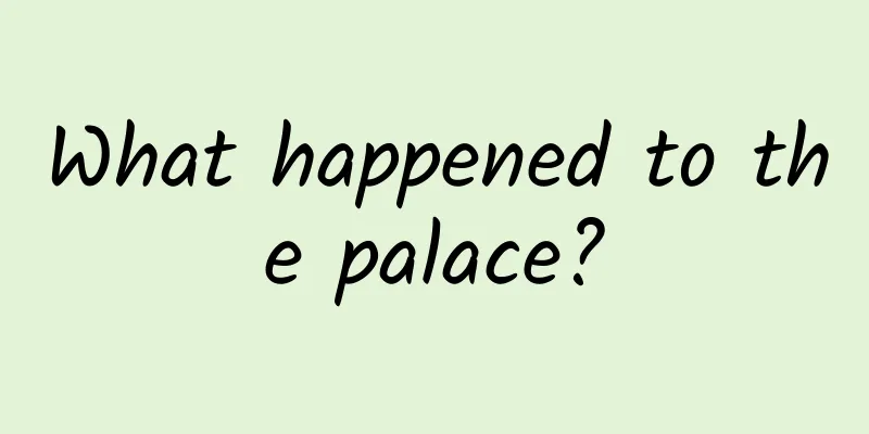 What happened to the palace?