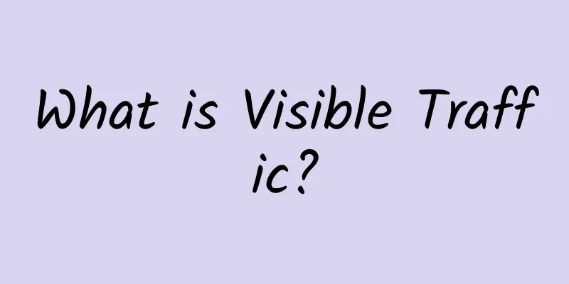 What is Visible Traffic?