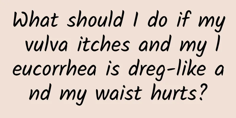 What should I do if my vulva itches and my leucorrhea is dreg-like and my waist hurts?
