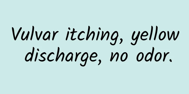 Vulvar itching, yellow discharge, no odor.