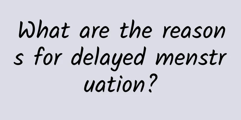 What are the reasons for delayed menstruation?