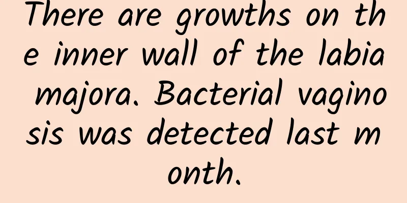 There are growths on the inner wall of the labia majora. Bacterial vaginosis was detected last month.