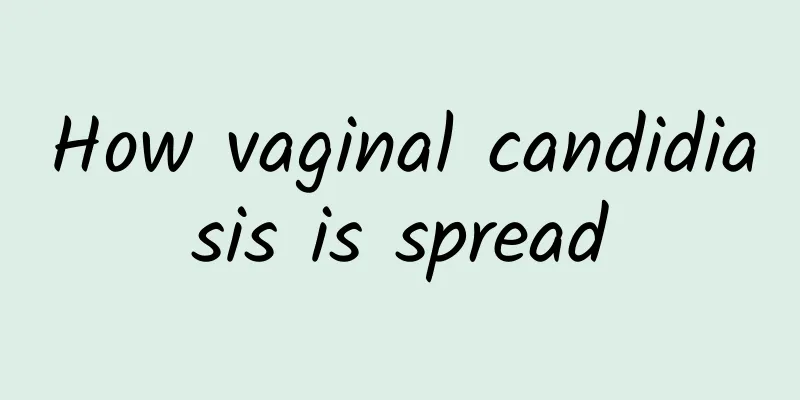 How vaginal candidiasis is spread