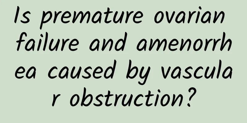 Is premature ovarian failure and amenorrhea caused by vascular obstruction?