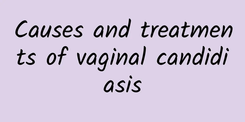 Causes and treatments of vaginal candidiasis