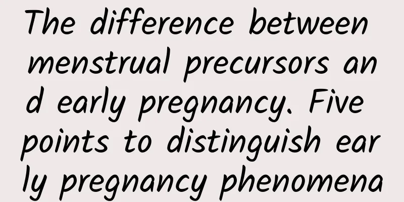 The difference between menstrual precursors and early pregnancy. Five points to distinguish early pregnancy phenomena