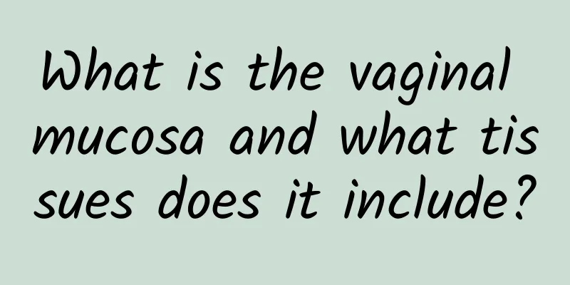 What is the vaginal mucosa and what tissues does it include?