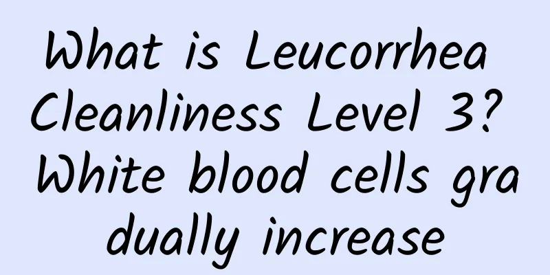 What is Leucorrhea Cleanliness Level 3? White blood cells gradually increase
