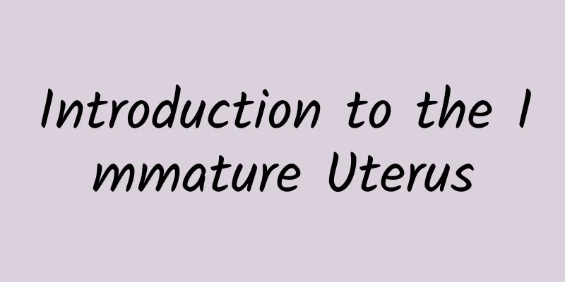 Introduction to the Immature Uterus