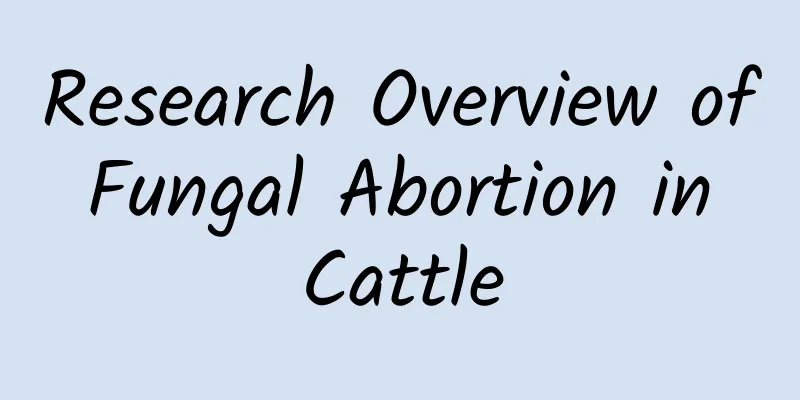 Research Overview of Fungal Abortion in Cattle
